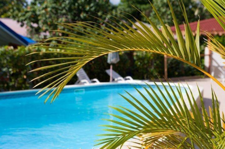 Hotel Le Rotabas Сент-Анн Екстер'єр фото
